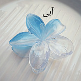 طراحی گل پلومریا ظاهر دورنگ و جذاب