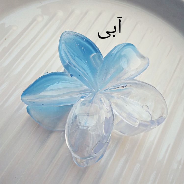 طراحی گل پلومریا ظاهر دورنگ و جذاب